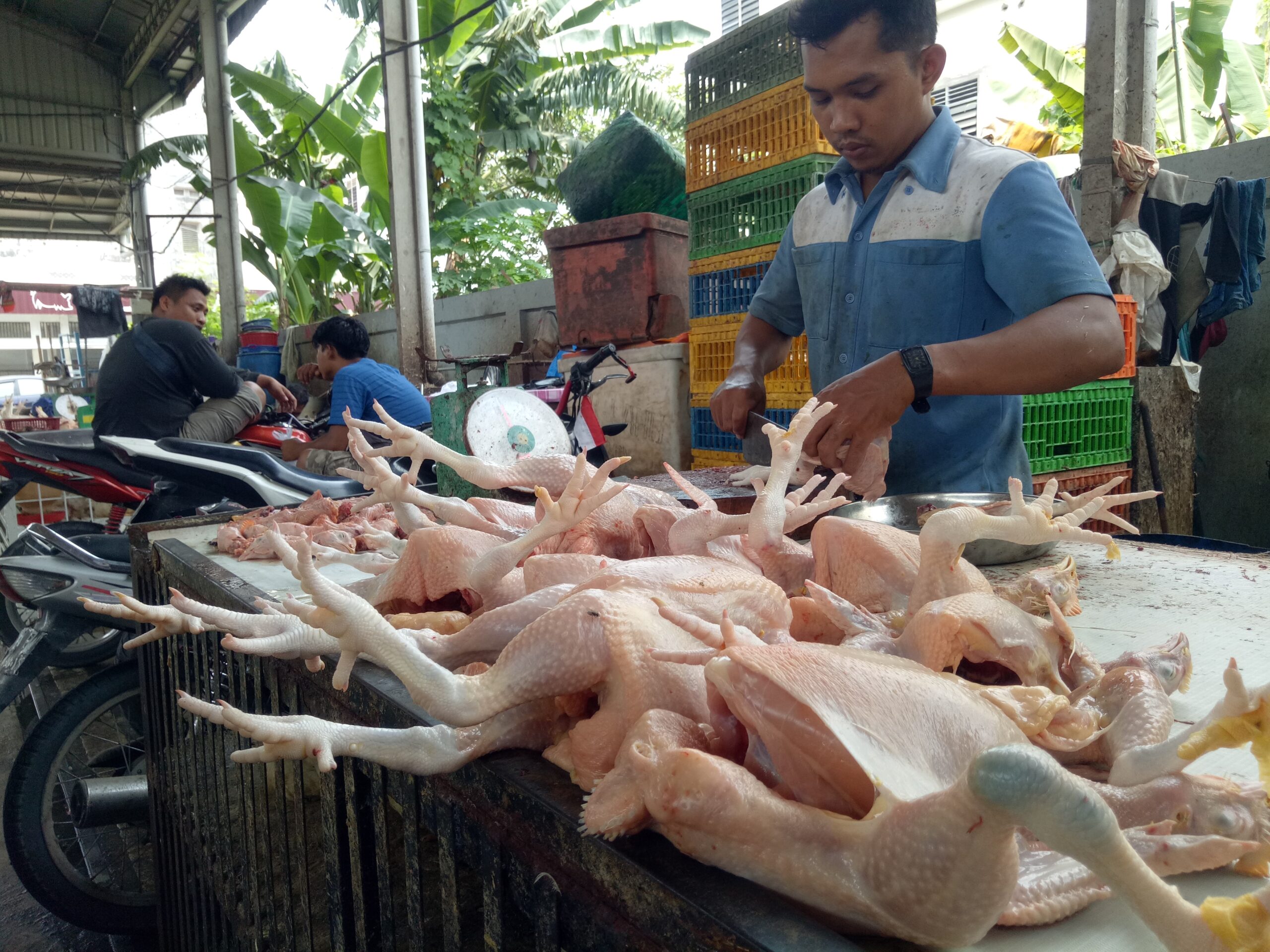 Setelah Cabai Merah, Harga Daging Ayam Di Medan Mulai Naik
