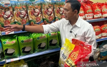 Direktur Utama Perum Bulog Ahmad Rizal saat meninjau ketersediaan beras program Stabilisasi Pasokan dan Harga Pangan (SPHP), di Grand Lucky, Jakarta, Minggu (14/9/2025). (Antara)