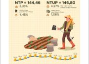 Nilai Tukar Petani Sumut Naik 3,35 Persen