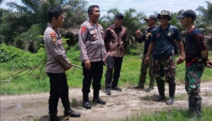 Dit Pamobvit Poldasu Gelar Anev Sistem Pengamanan Di Perkebunan Tanjung Garbus Pagar Merbau