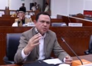 Abdul Rahim Siregar Dorong Moratorium Aktivitas Hutan