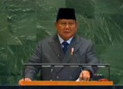 Prabowo Dalam KTT Solusi Dua Negara: Wajib Akui Palestina