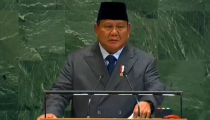 Prabowo Dalam KTT Solusi Dua Negara: Wajib Akui Palestina