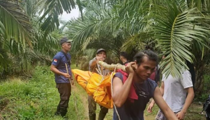 Mayat Pria Ditemukan Terapung Di Sungai Tongguran Simalungun