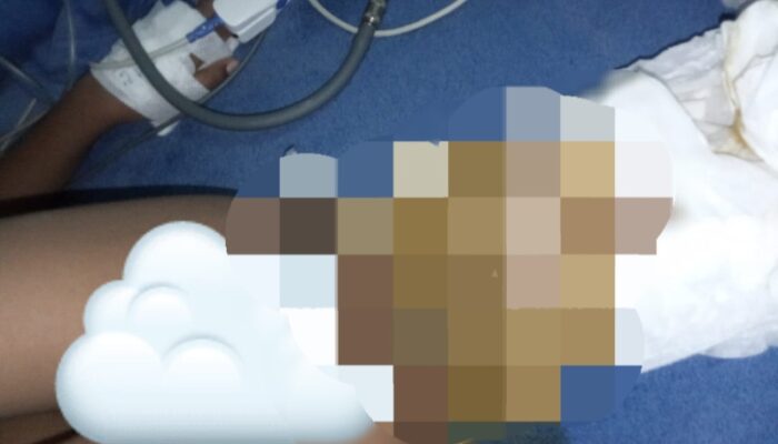 Kasus Anak Keluarkan Cacing, Dinkes Medan: Pentingnya Obat Cacing Dan Posyandu