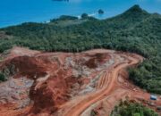 Merusak Lingkungan, Investigasi NGO: Cabut Seluruh Izin Tambang Nikel Di Raja Ampat