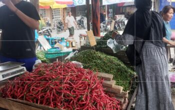 Di Pasar Baru Stabat, Kabupaten Langkat, harga cabai merah sempat menyentuh Rp100 ribu per kilogram pada Sabtu (27/9). Namun sehari setelahnya, Minggu (28/9), harga terkoreksi ke level Rp70 ribu-an per kilogram.