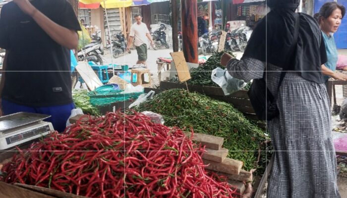Harga Cabai Merah Masih Bergejolak Di Sumut