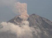 Semeru Erupsi 4 Kali Pagi Ini, Tinggi Letusan Capai 800 Meter