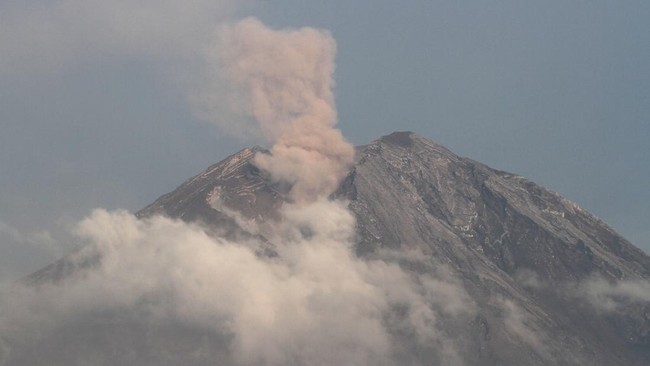 Semeru Erupsi 4 Kali Pagi Ini, Tinggi Letusan Capai 800 Meter