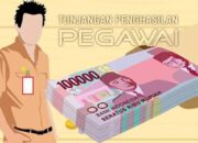 Rahmansyah Sibarani Minta Pemprovsu Harus Berikan TPP Untuk Seluruh P3K Di Bawah Provinsi