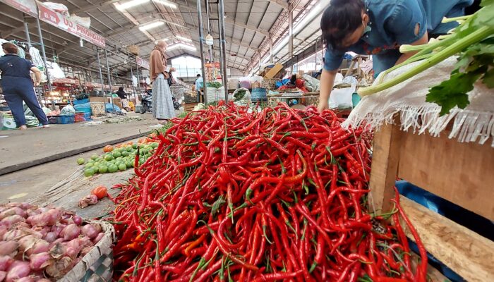 NTP Sumut Meroket Di Tengah Mahalnya Cabai