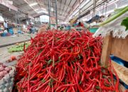 Berdasarkan data Pusat Informasi Harga Pangan Strategis (PIHPS), harga cabai merah di Medan pada Senin (20/10) mencapai Rp95 ribu per kilogram, naik dari kisaran Rp65 ribu hingga Rp75 ribu per kilogram pada akhir pekan lalu.