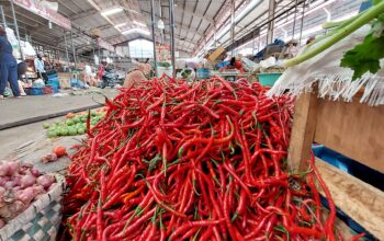 Berdasarkan data Pusat Informasi Harga Pangan Strategis (PIHPS), harga cabai merah di Medan pada Senin (20/10) mencapai Rp95 ribu per kilogram, naik dari kisaran Rp65 ribu hingga Rp75 ribu per kilogram pada akhir pekan lalu.