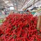 Berdasarkan data Pusat Informasi Harga Pangan Strategis (PIHPS), harga cabai merah di Medan pada Senin (20/10) mencapai Rp95 ribu per kilogram, naik dari kisaran Rp65 ribu hingga Rp75 ribu per kilogram pada akhir pekan lalu.