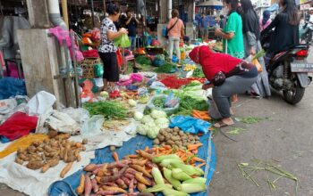 Harga sejumlah komoditas pangan di Sumatera Utara (Sumut) menunjukkan tren penurunan pada perdagangan hari ini, Rabu (15/10), terutama pada kelompok cabai dan sayuran hortikultura. Namun, potensi kenaikan harga beras mulai menguat menjelang akhir tahun.