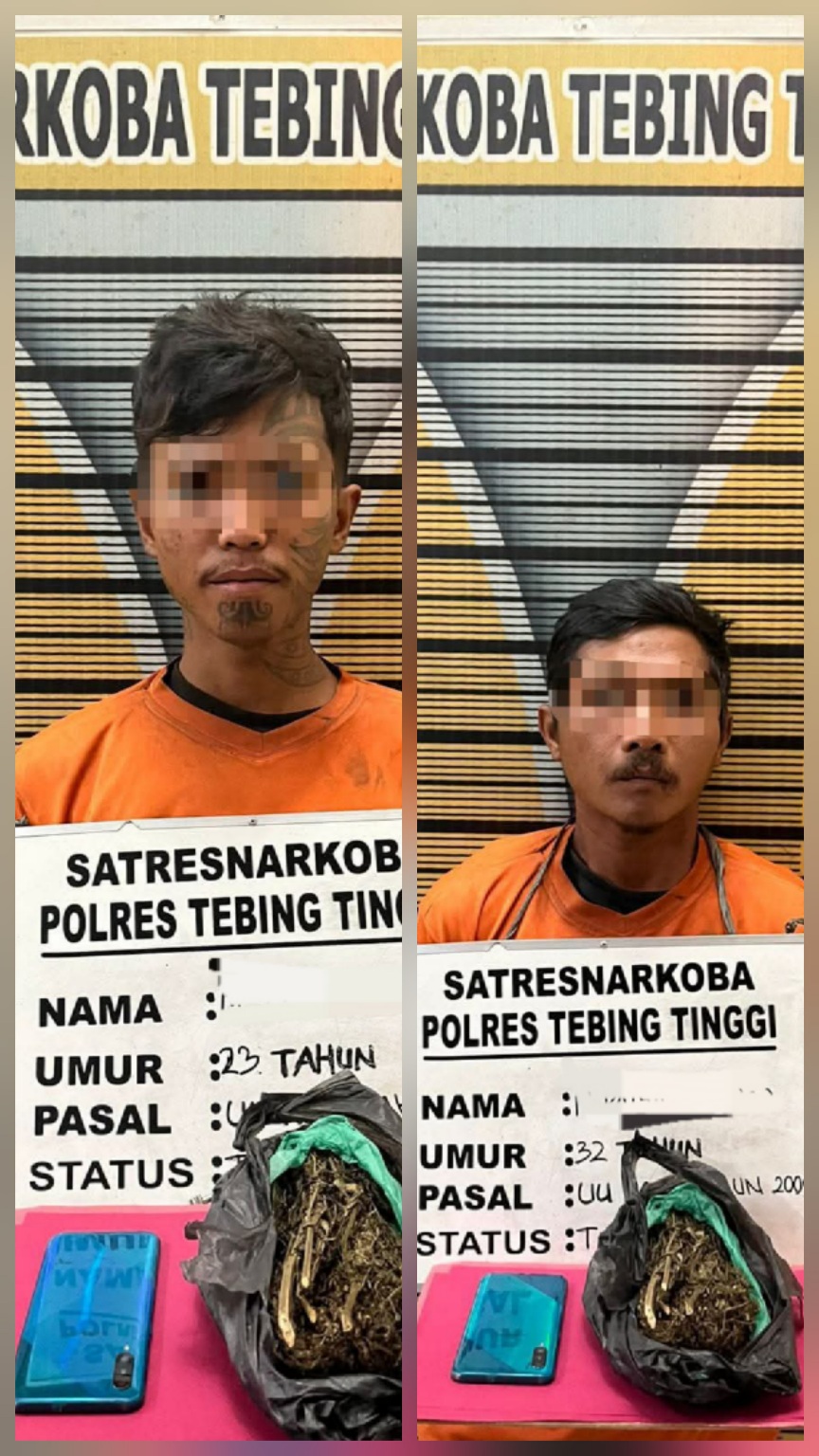 Dua Pengedar Dan Seorang Pemasok Ganja Pabatu Ditangkap