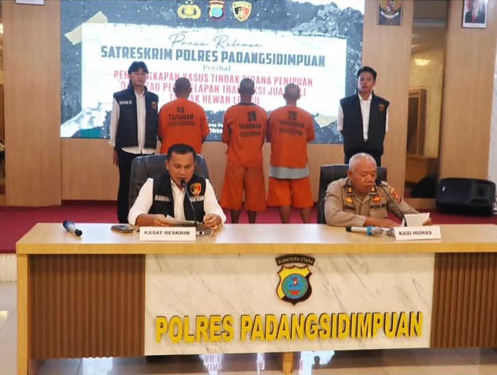 Tiga Tersangka Penipuan Jual Beli Sapi Ditangkap Polres Padangsidimpuan
