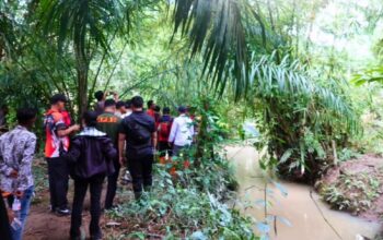 Wali Kota Tebingtinggi Tinjau Hulu Sungai Bahilang, Tekankan Sinergi Atasi Banjir