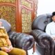 Sultan Deli Temui Wali Kota Tebingtinggi, Bahas Aset Dan Masyarakat Adat