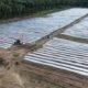 Bupati Padanglawas Tanam Cabai, Perkuat Ketahanan Pangan Dan Stabilisasi Harga