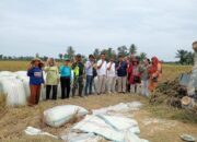 Seluruh Cabang Perum BULOG Sumut Siap Terima GKP Petani