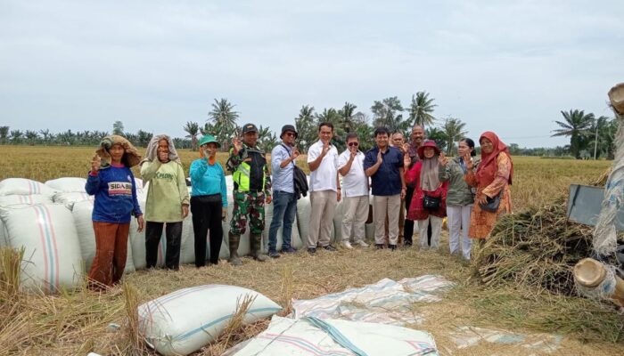 Seluruh Cabang Perum BULOG Sumut Siap Terima GKP Petani