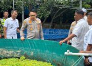 Sinergi Polres Pidie Dan Petani Wujudkan Gampong Meugit Mandiri