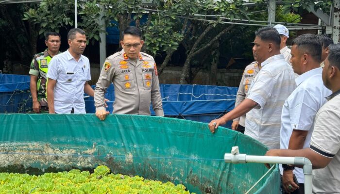 Sinergi Polres Pidie Dan Petani Wujudkan Gampong Meugit Mandiri