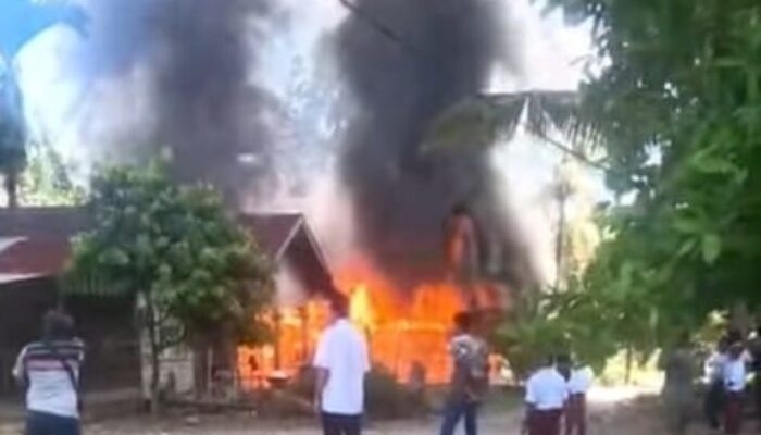 Rumah Warga Padanglawas Ludes Terbakar Saat Ditinggal Ke Kebun
