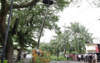 Cegah Agar Insiden Tak Terulang, Ricky Minta Pemkab Langkat Remajakan Pohon Perindang