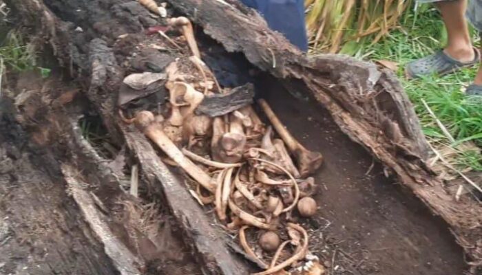 Kerangka Manusia Di Pohon Aren, Kasat Reskrim Sergai: Masih Penyelidikan, Jangan Percaya Isu Medsos