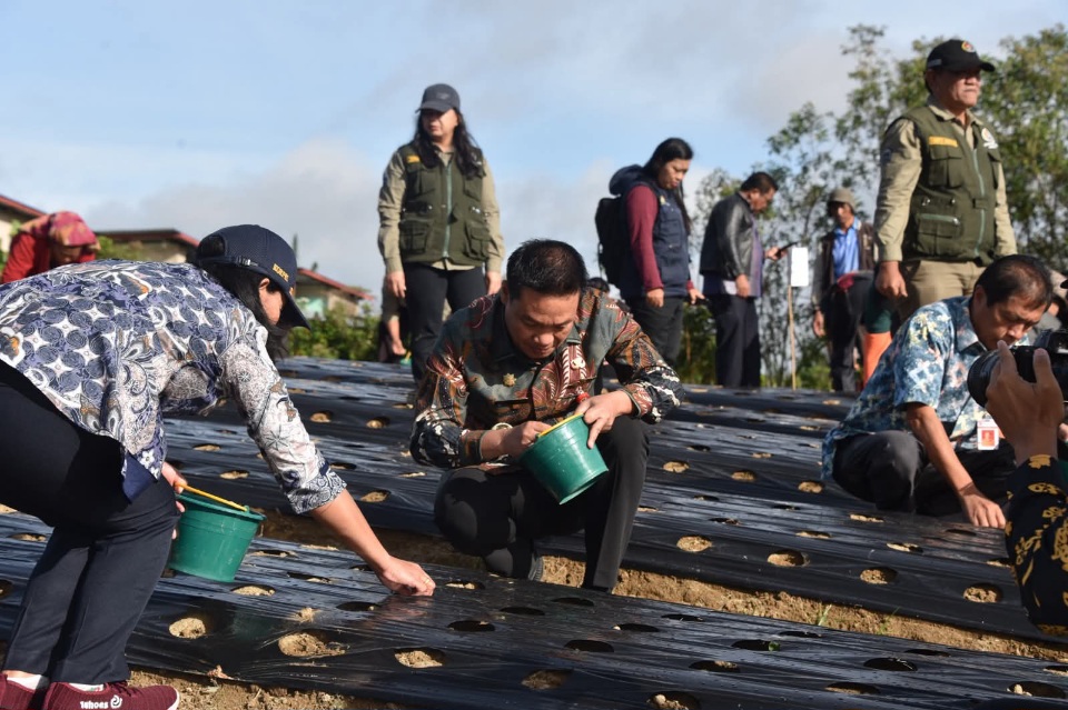 Bupati Humbahas Gencarkan Penanaman Bawang Putih