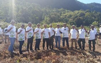 PLN Nusantara Power Unit Pembangkit Pandan Gelar “Nusantaversary Green Fest”, Tanam 200 Bibit Pohon