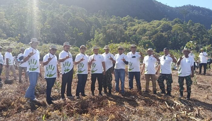 PLN Nusantara Power Unit Pembangkit Pandan Gelar “Nusantaversary Green Fest”, Tanam 200 Bibit Pohon