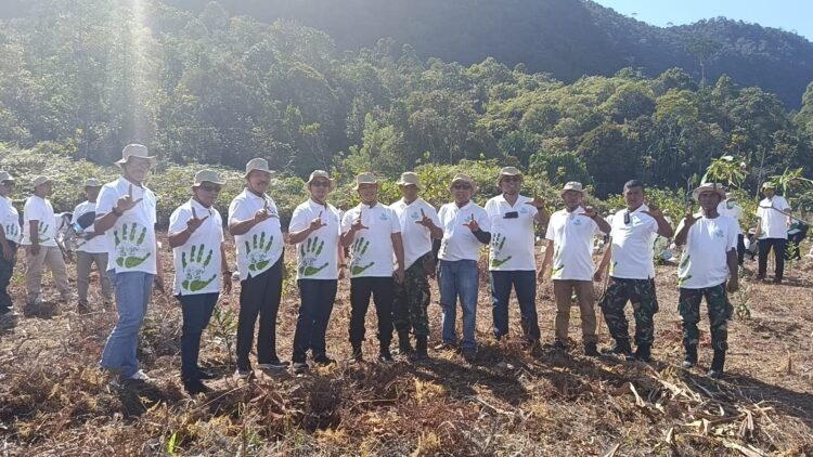 PLN Nusantara Power Unit Pembangkit Pandan Gelar “Nusantaversary Green Fest”, Tanam 200 Bibit Pohon