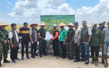 Bersama jajaran TNI, Babinsa, aparat desa, dan Petugas Penyuluh Lapangan (PPL), Bulog menyerap gabah hasil panen gadu milik petani Kelompok Tani (Poktan) Mekar Baru di Desa Gunung Bandung, Kecamatan Lima Puluh Pesisir, Kabupaten Batu Bara.