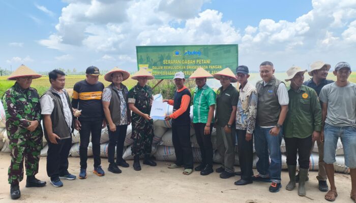 Bulog Asahan Bersama Dandim Hadir Berikan Kepastian Harga Hasil Panen