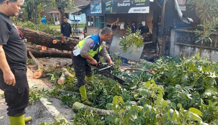 Satlantas Polres Sergai Sigap Bersihkan Pohon Tumbang Akibat Hujan Deras