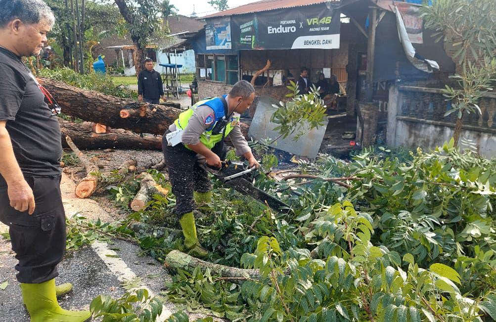 Satlantas Polres Sergai Sigap Bersihkan Pohon Tumbang Akibat Hujan Deras