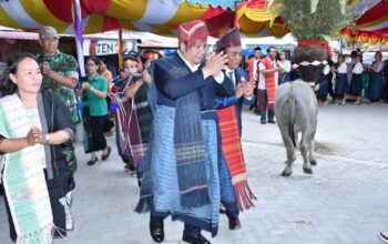Horja Bius Ritual Mangalahat Horbo