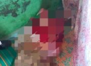 Kasus Pembunuhan Janda Di Hapung Torop: Pelaku Belum Tertangkap Setelah 39 Hari