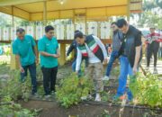 Touring Sepmor, Wagub Kunjungi Budidaya Nilam Di Lhoong