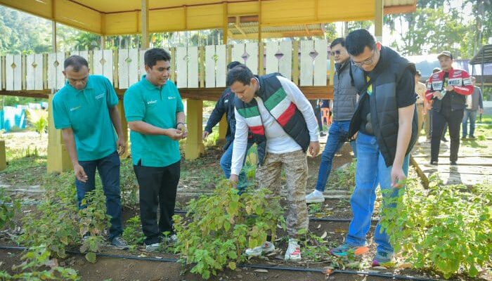 Touring Sepmor, Wagub Kunjungi Budidaya Nilam Di Lhoong