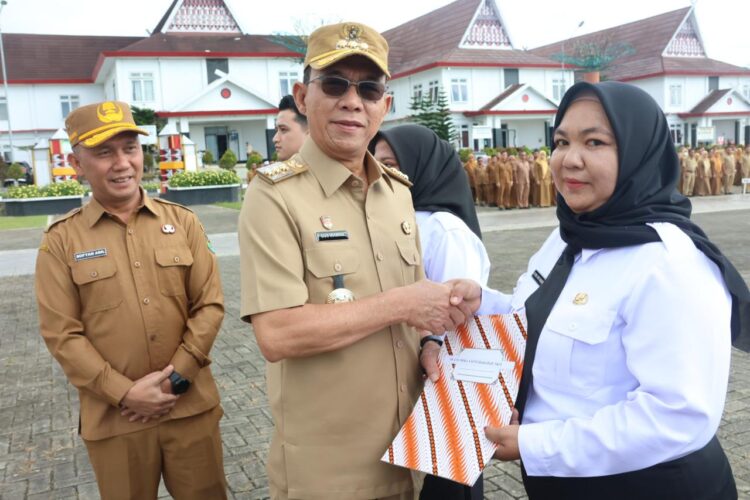 371 ASN Tapsel Terima SK P3K, Gus Irawan: Tetap Prima, Jangan Molor