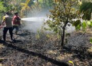 Personel Gabungan Padamkan Kebakaran Lahan Di Sabang