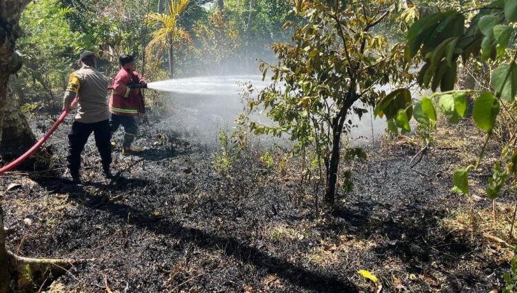 Personel Gabungan Padamkan Kebakaran Lahan Di Sabang