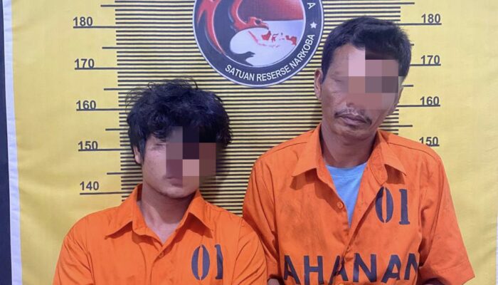 Dua Pengedar Ganja Dibekuk Satresnarkoba Polres Sibolga Di Dua Lokasi Berbeda
