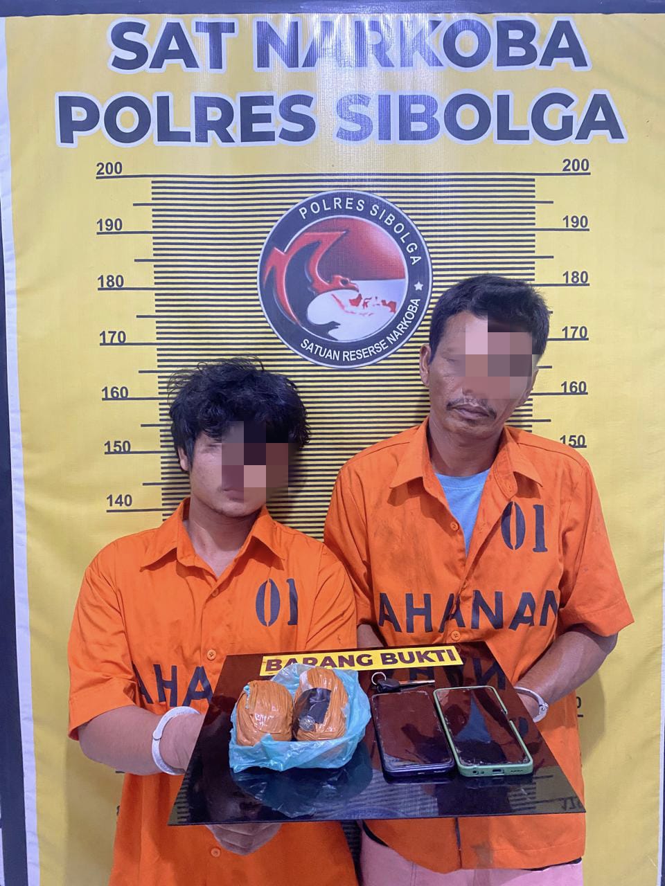 Dua Pengedar Ganja Dibekuk Satresnarkoba Polres Sibolga Di Dua Lokasi Berbeda