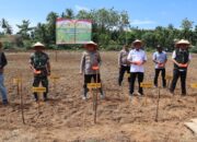 Polres Aceh Tamiang Tanam Jagung Serentak